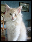 0013 12 semaines